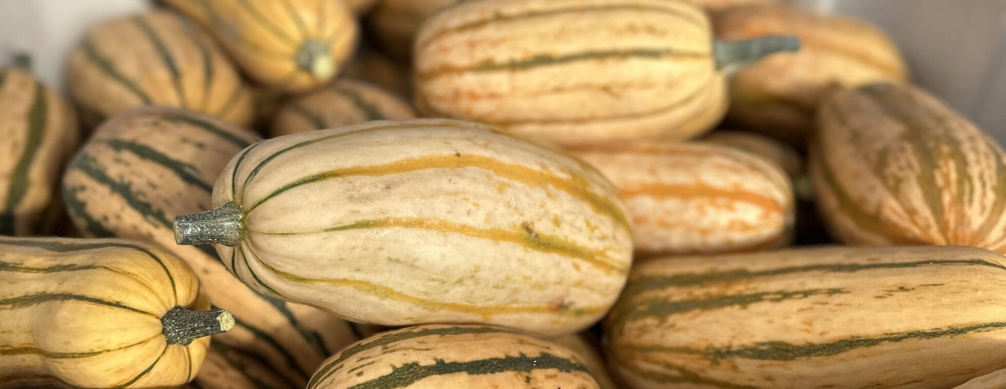 Farm-to-Fridge Community Meal Giveaway 2025